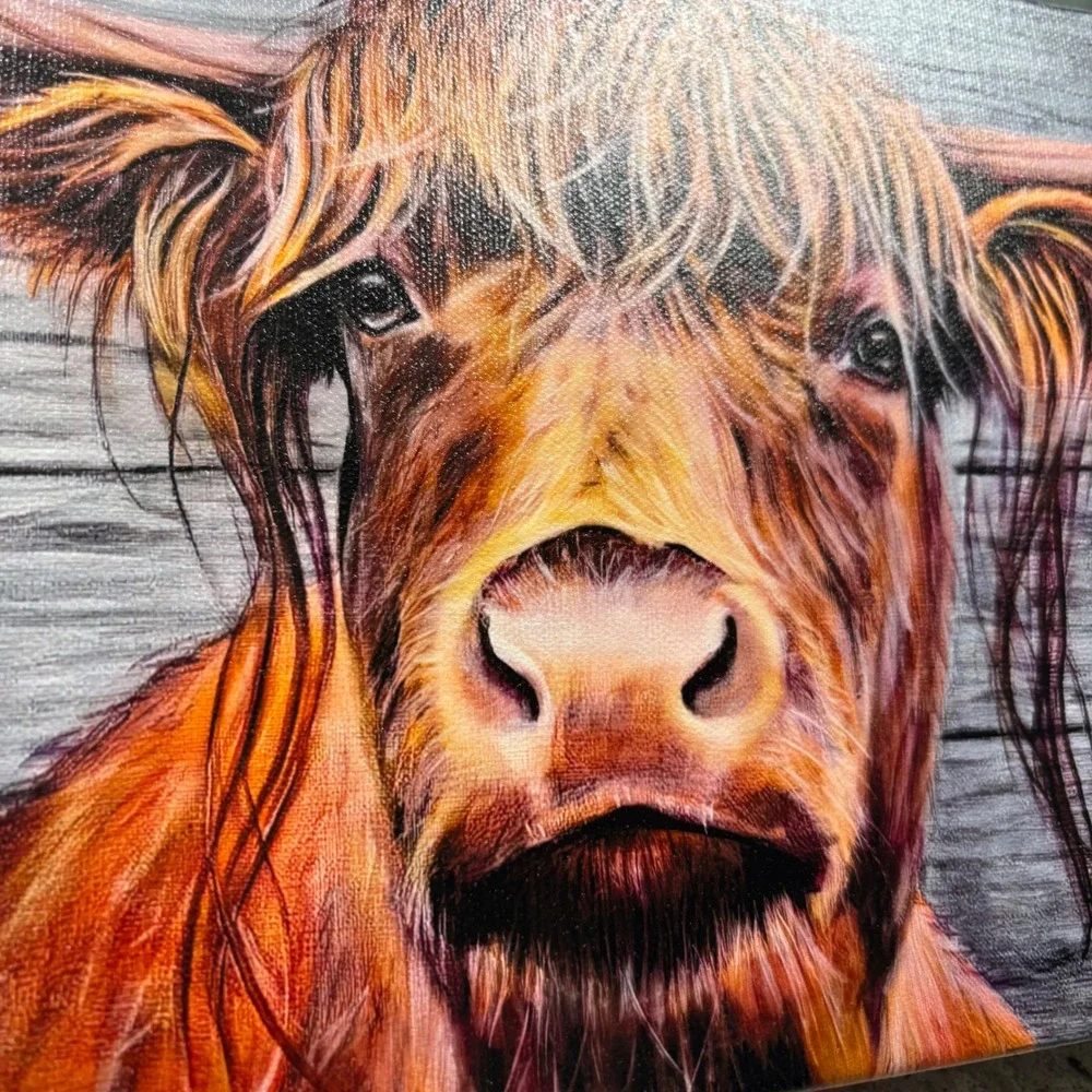 NEW The Highland Cow Gallery Wrap Print‎ from Original Painting Farmhouse 8x10